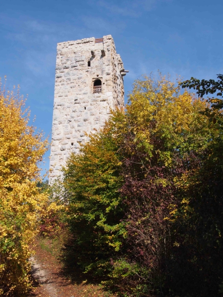 Schlossturm_Herbst